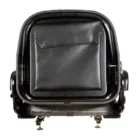 Seatbelt, Black